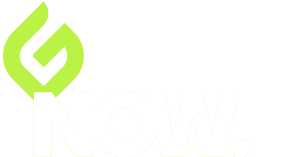 Logo Get Fit Now